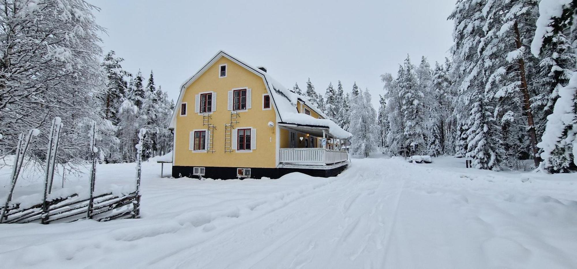 Bed and Breakfast Horrmundsgarden I Saelen Horrmunden Esterno foto
